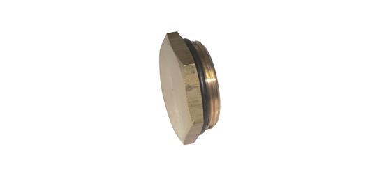Manifold plug